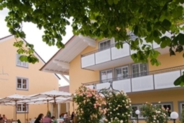 Hirsch (Langenargen)